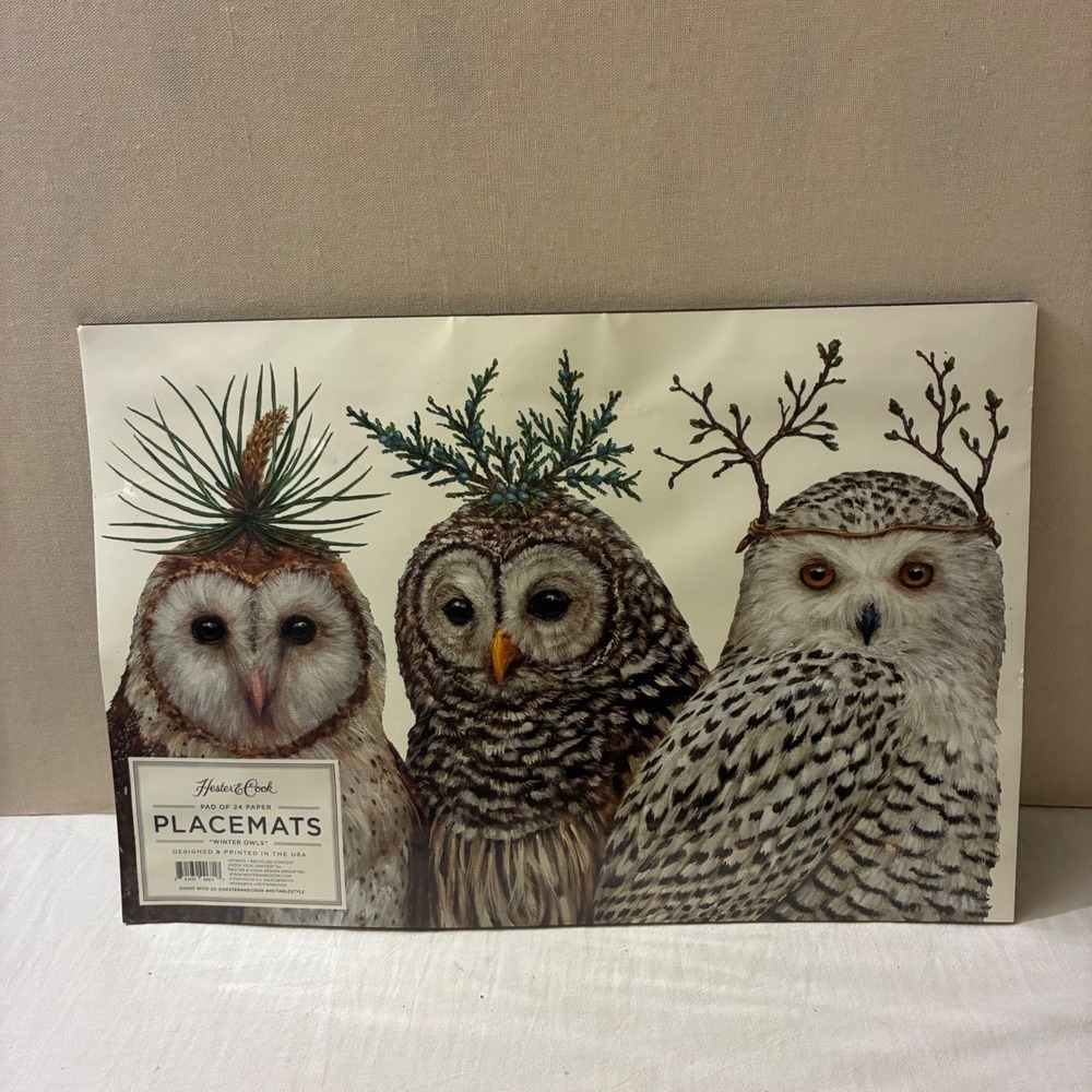 Hester & Cook Winter Owls Paper Placemat Pad 24ct Vicki Sawyer Bird Art 18 x 12